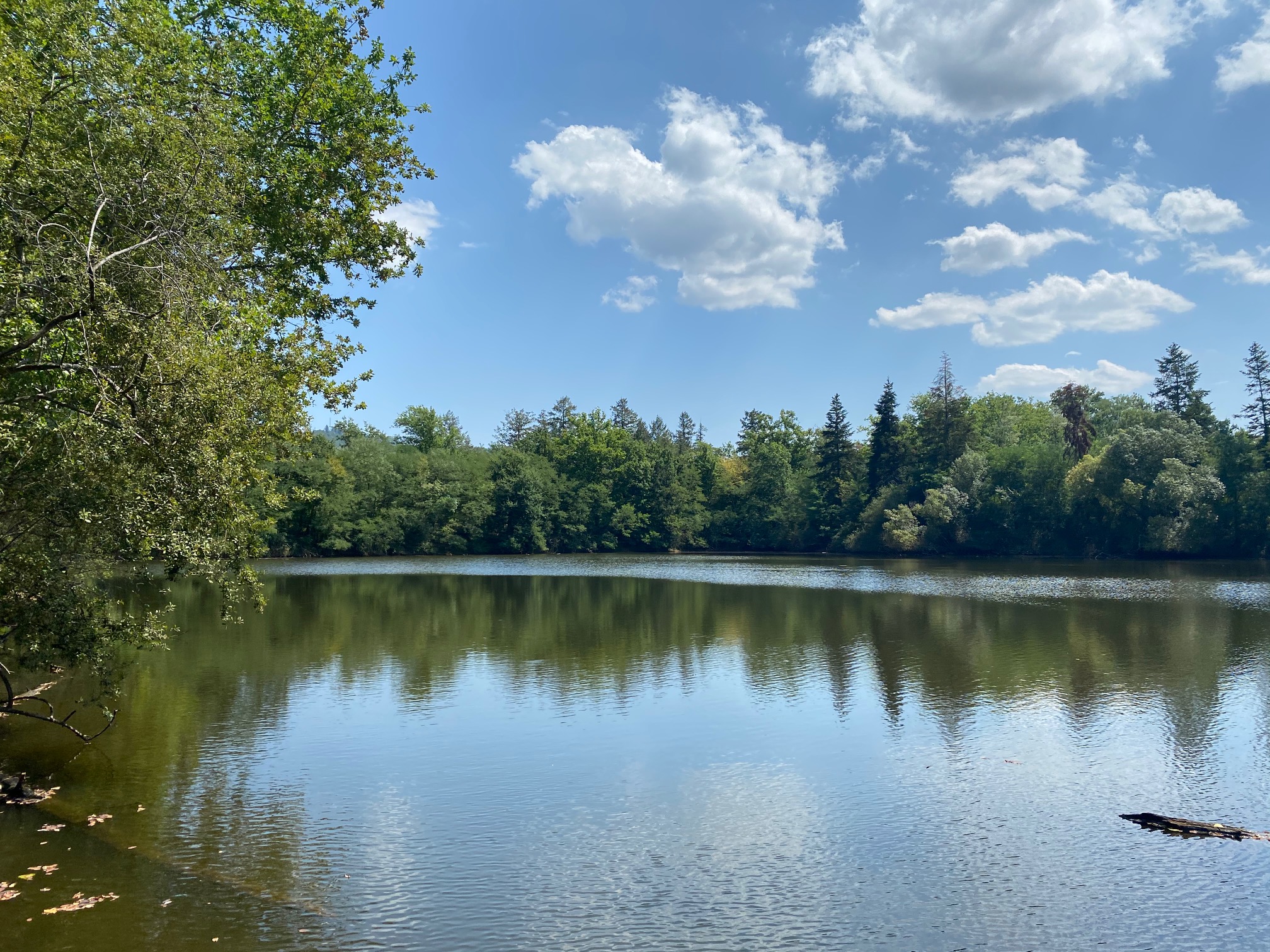 vente ETANG À SAINTPANTALEONDELARCHE EN CORRÈZE FAURE IMMO